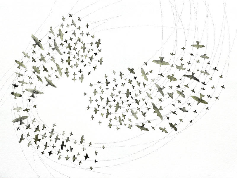 Boids no.3, ink on paper