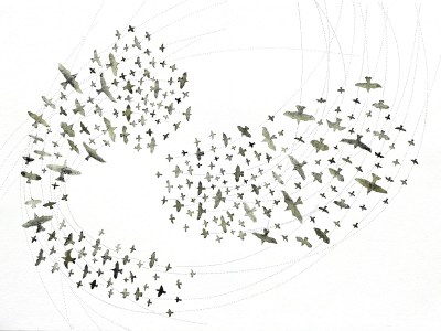 Boids no.3, ink on paper