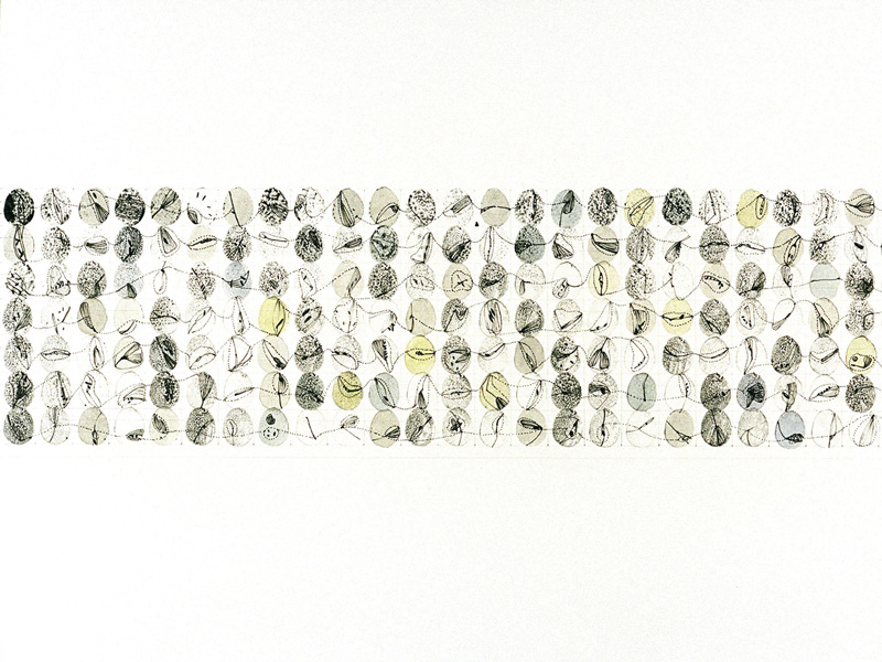 Encoding, Decoding and Interpretation no.6