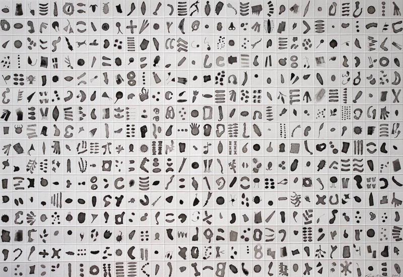 Micrarium no.3, ink on paper