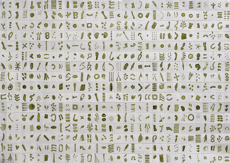 Micrarium no.4, ink on paper