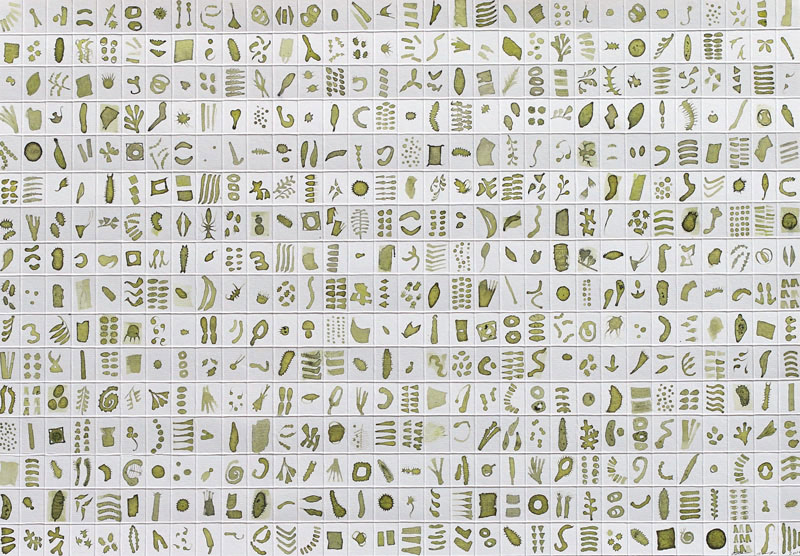 Micrarium no.5, ink on paper