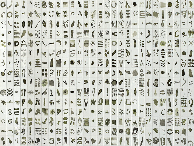 Micrarium no.7, ink on paper