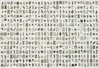 Micrarium no.9, ink on paper