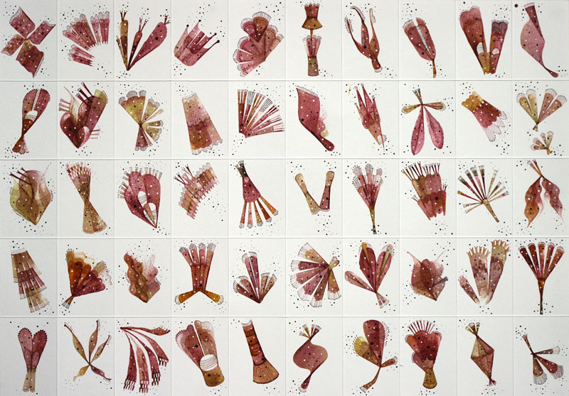 Florilegium no.3, ink on paper, 28x41cm, 2018