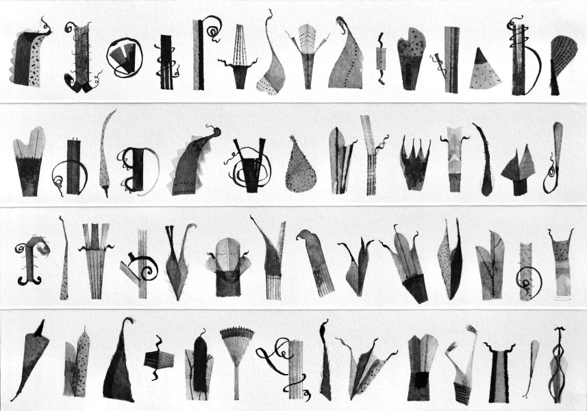 Study on "The Alphabet of Plants, no.3, ink on paper